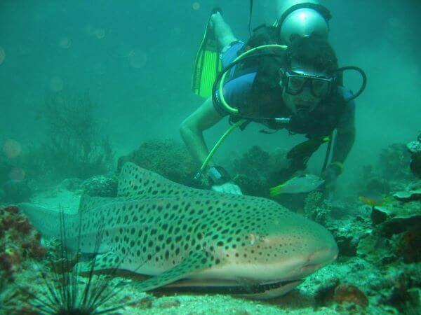 man scuba diving from koh yao noi